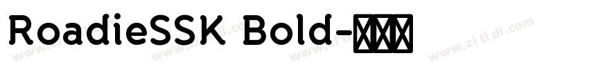 RoadieSSK Bold字体转换